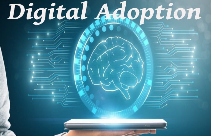 Digital Adoption