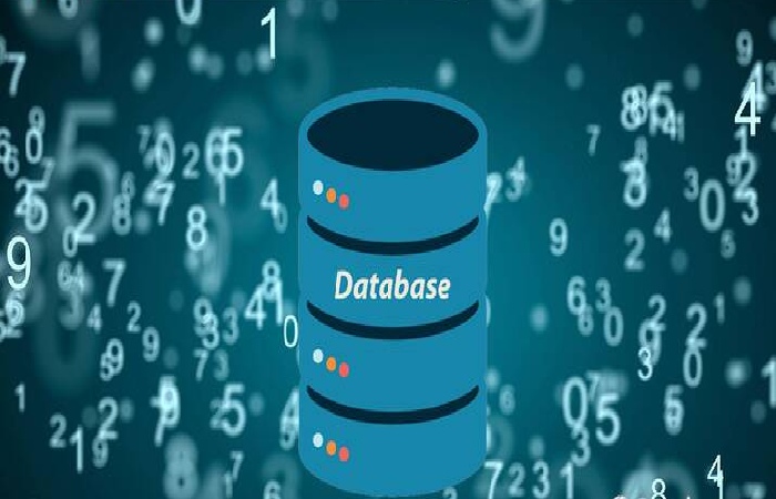 database