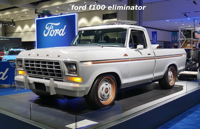 Ford f100 eliminator